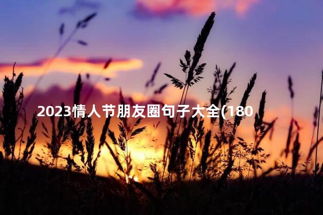 2023情人节朋友圈句子大全(180句) 情人节朋友圈文案简短